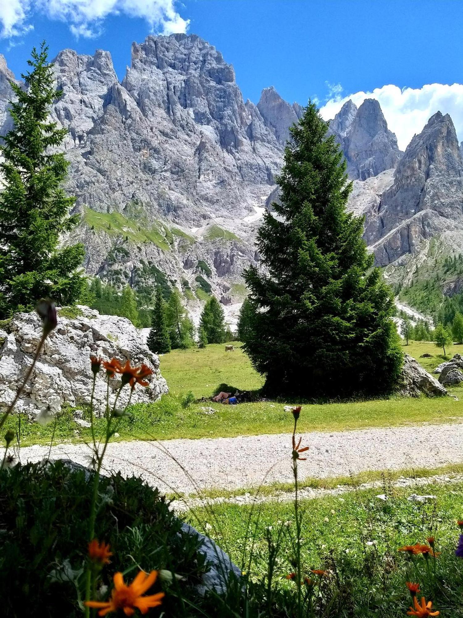 Casa Lausen Lägenhet Canal San Bovo Exteriör bild